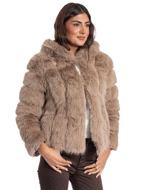  GIO' CELLINI | EP050MO